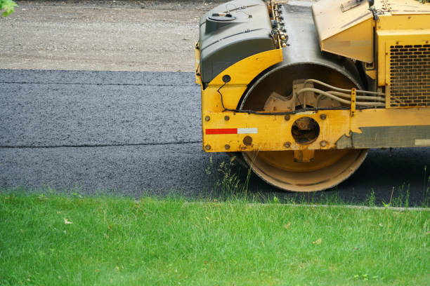 Best Decorative Concrete Driveways  in Chicago Ridge, IL